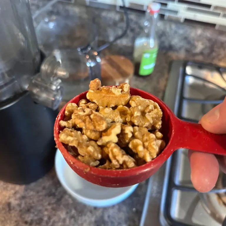recipe ingredients for nut milk 1 half cup walnuts